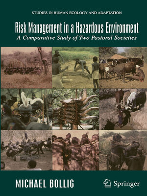 cover image of Risk Management in a Hazardous Environment